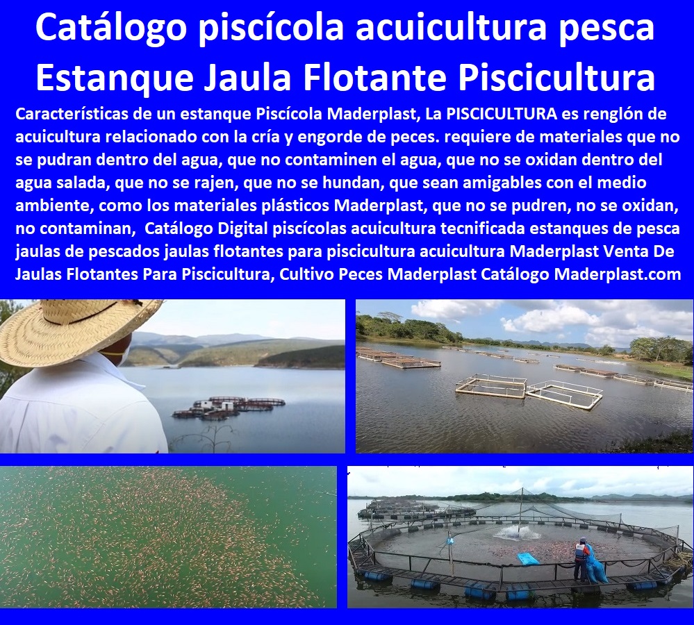 Catálogo 48 Piscícolas Acuicultura Estanques Jaulas Flotantes Piscicultura Maderplast 0 El Cultivo De Peces En Jaulas 0 Jaulas Flotantes Para Tilapia 0 Tipos De Tanques Para Acuicultura 0 Cría De Tilapia En Estanques Plásticos 0 PP Catálogo 48 Piscícolas Acuicultura Estanques Jaulas Flotantes Piscicultura Maderplast 0 El Cultivo De Peces En Jaulas 0 Jaulas Flotantes Para Tilapia 0 Tipos De Tanques Para Acuicultura 0 Cría De Tilapia En Estanques Plásticos 0 PP 